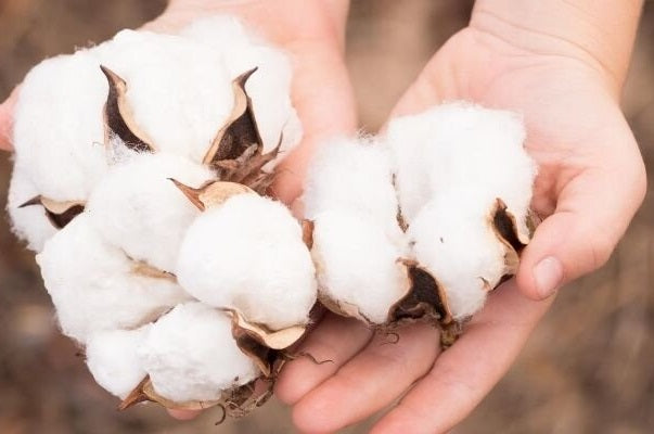 Knitting With Cotton Yarn โ And Which Projects Maximize Cottonโs Properties the Best