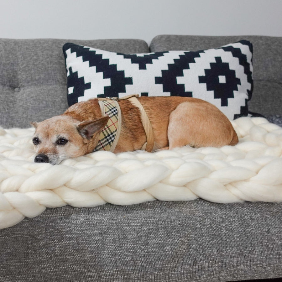 Wool Breeds Series: Part 2 โ Corriedale Wool Roving (The Triple Threat)