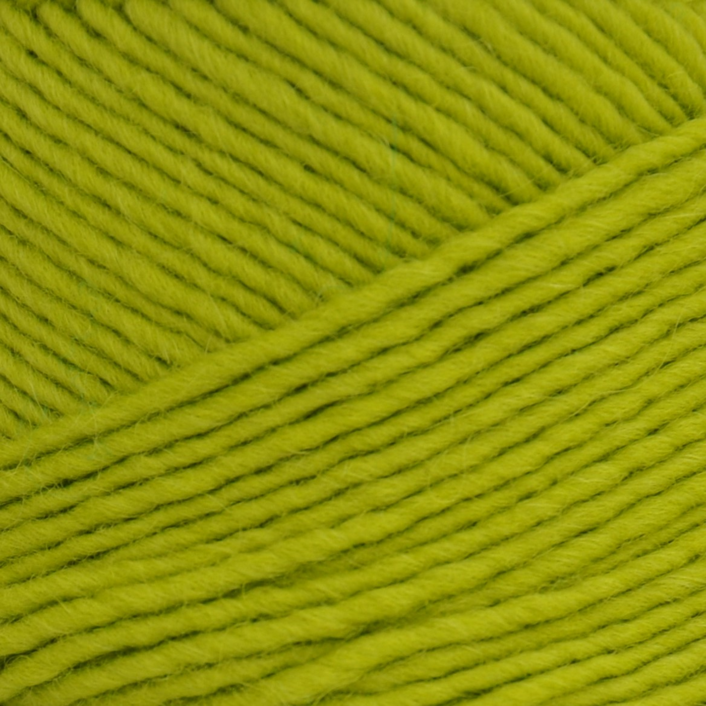 Brown Sheep Lamb’s Pride Bulky yarn skein, Bamboo Shoots chartreuse colorway close-up