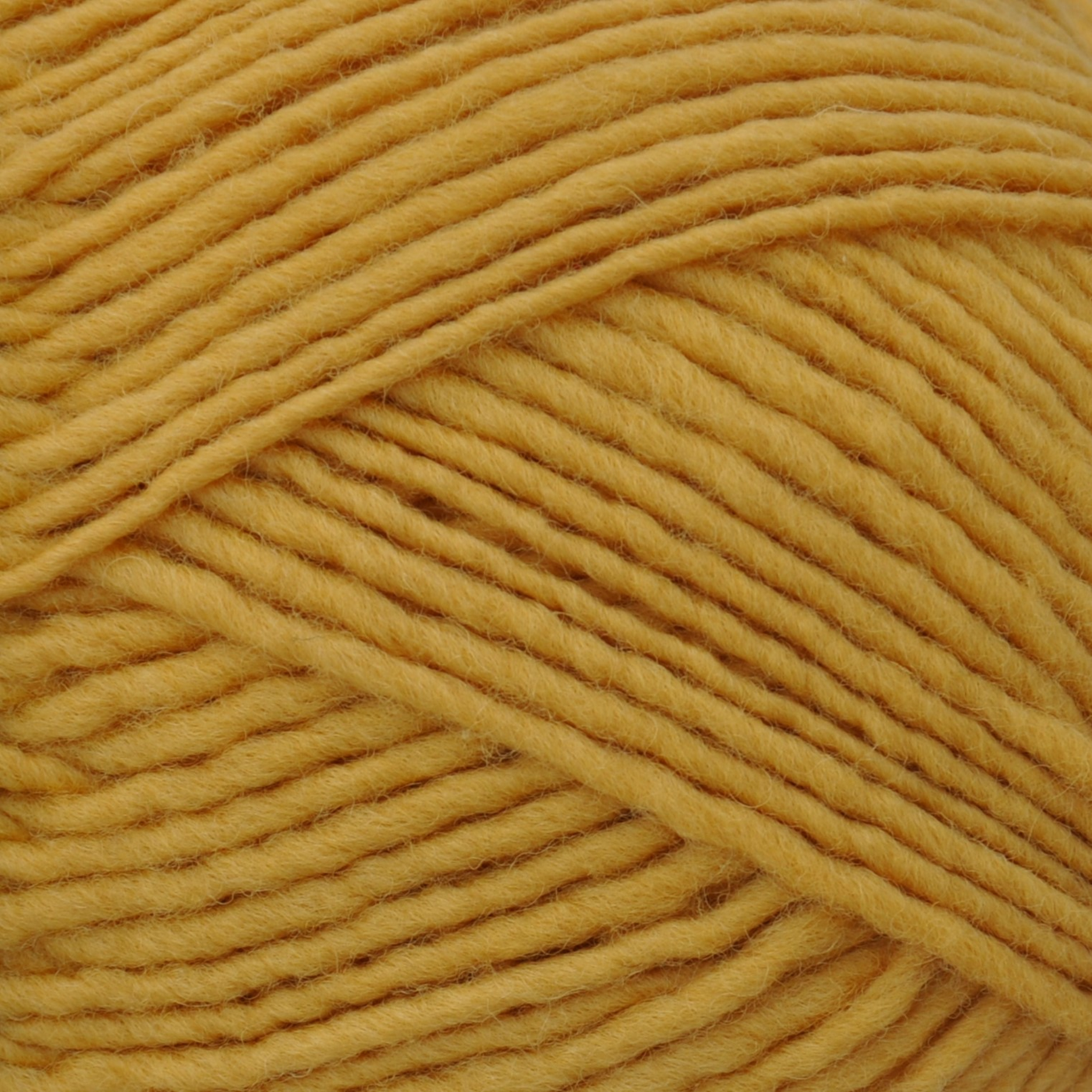 Brown Sheep Lanaloft Bulky wool yarn skein, Golden Meadowlark mustard yellow — 160 yds at Revolution Fibers