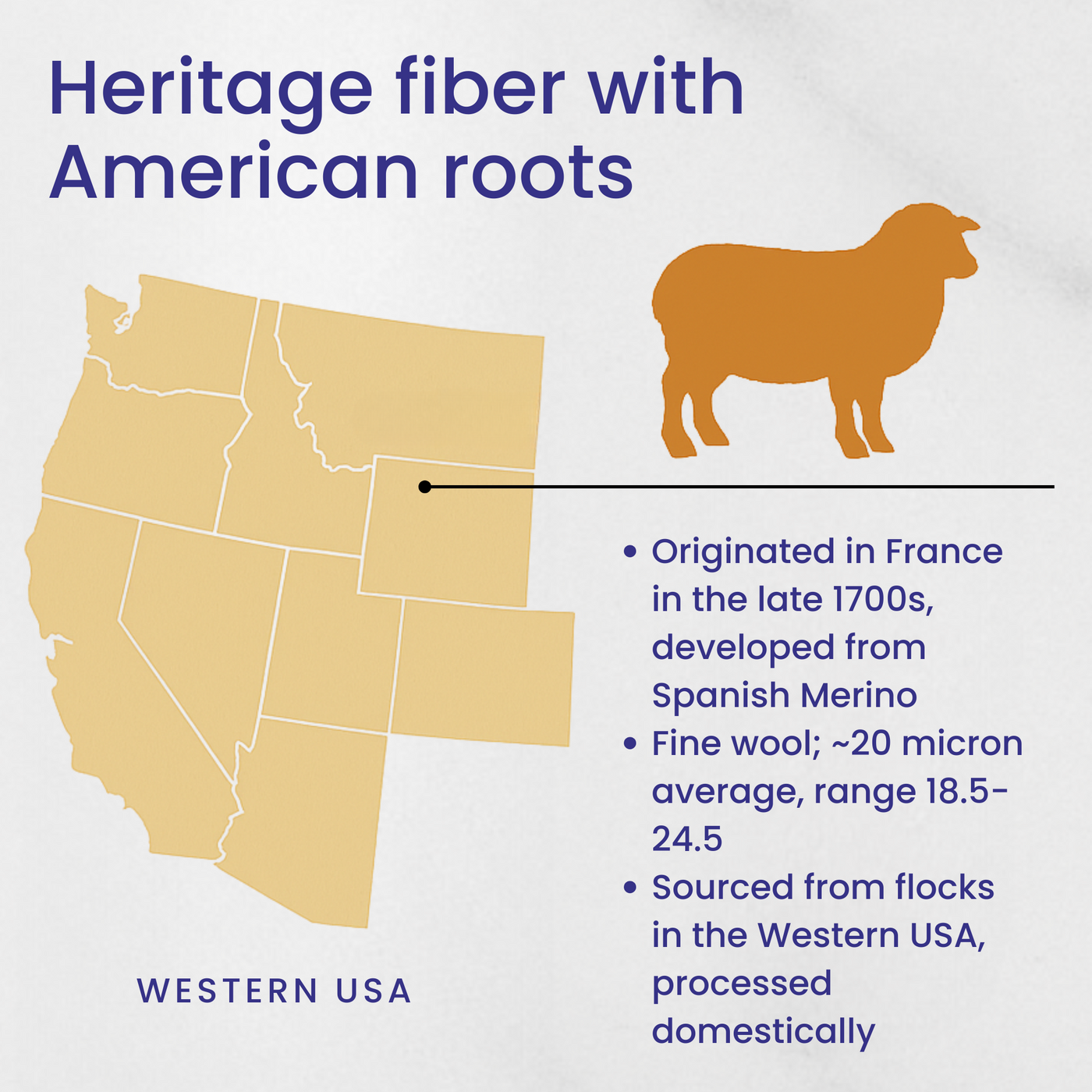 Rambouillet sheep fiber infographic with Western USA map, highlighting breed origin, softness, and domestic processing.
