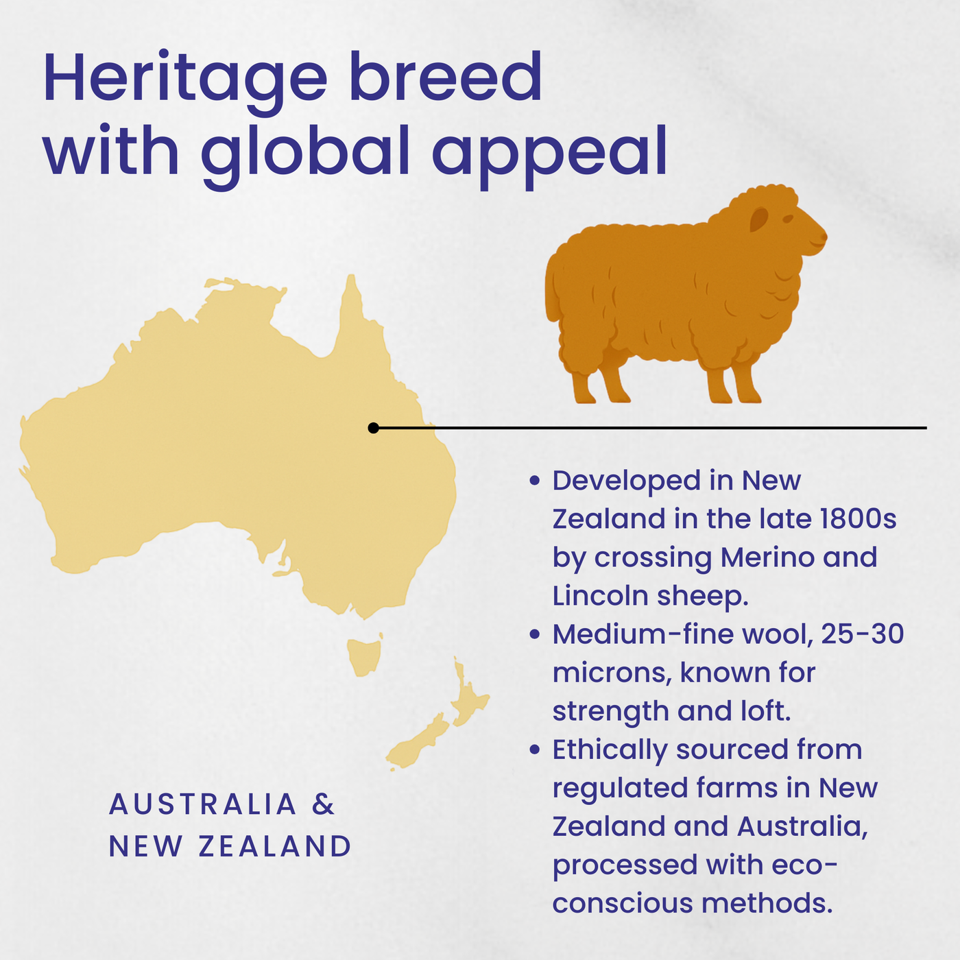 Heritage breed infographic—Corriedale sheep origins in New Zealand and Australia with breed and fiber highlights.