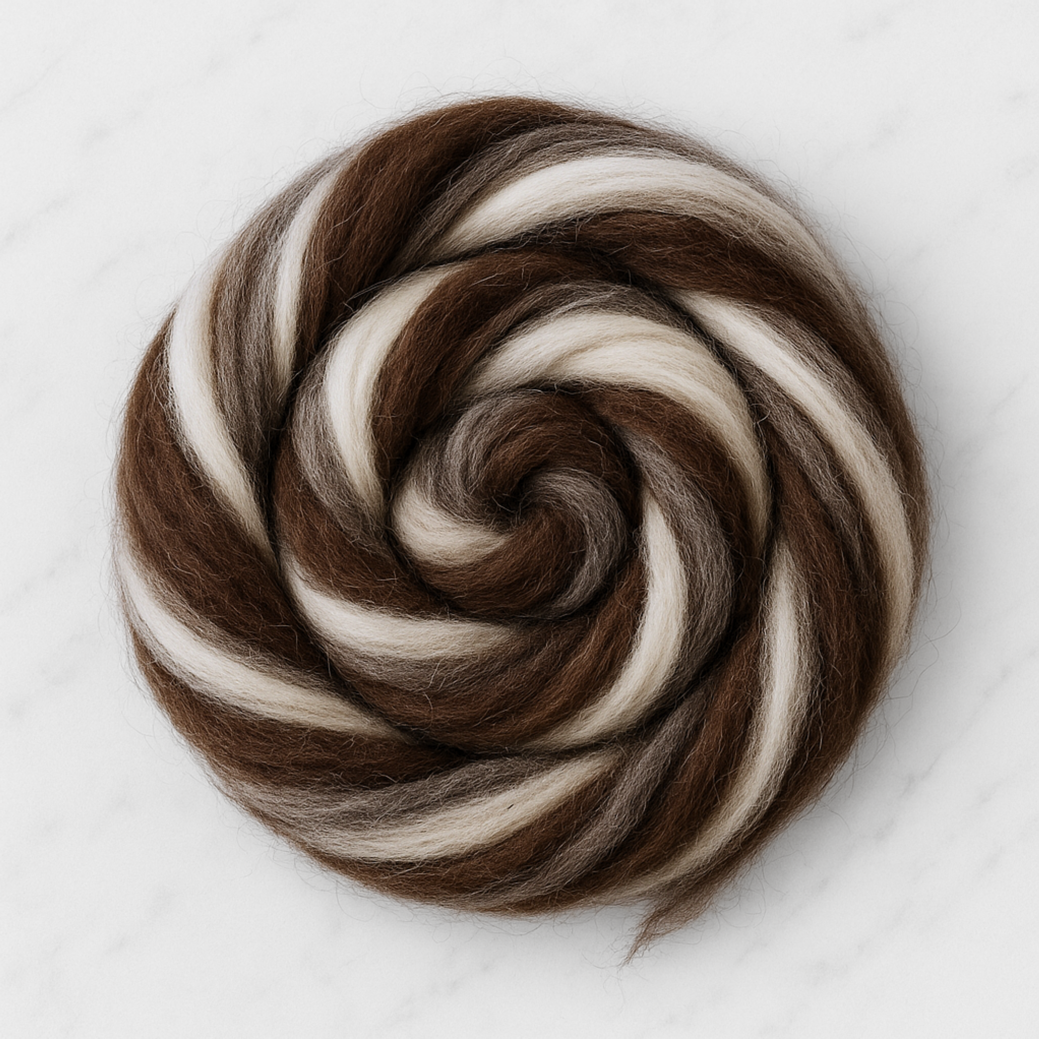 Coiled bundle of natural brown-and-white Corriedale combed top—8 oz undyed core wool prepared for drop-spindle or wheel spinning.