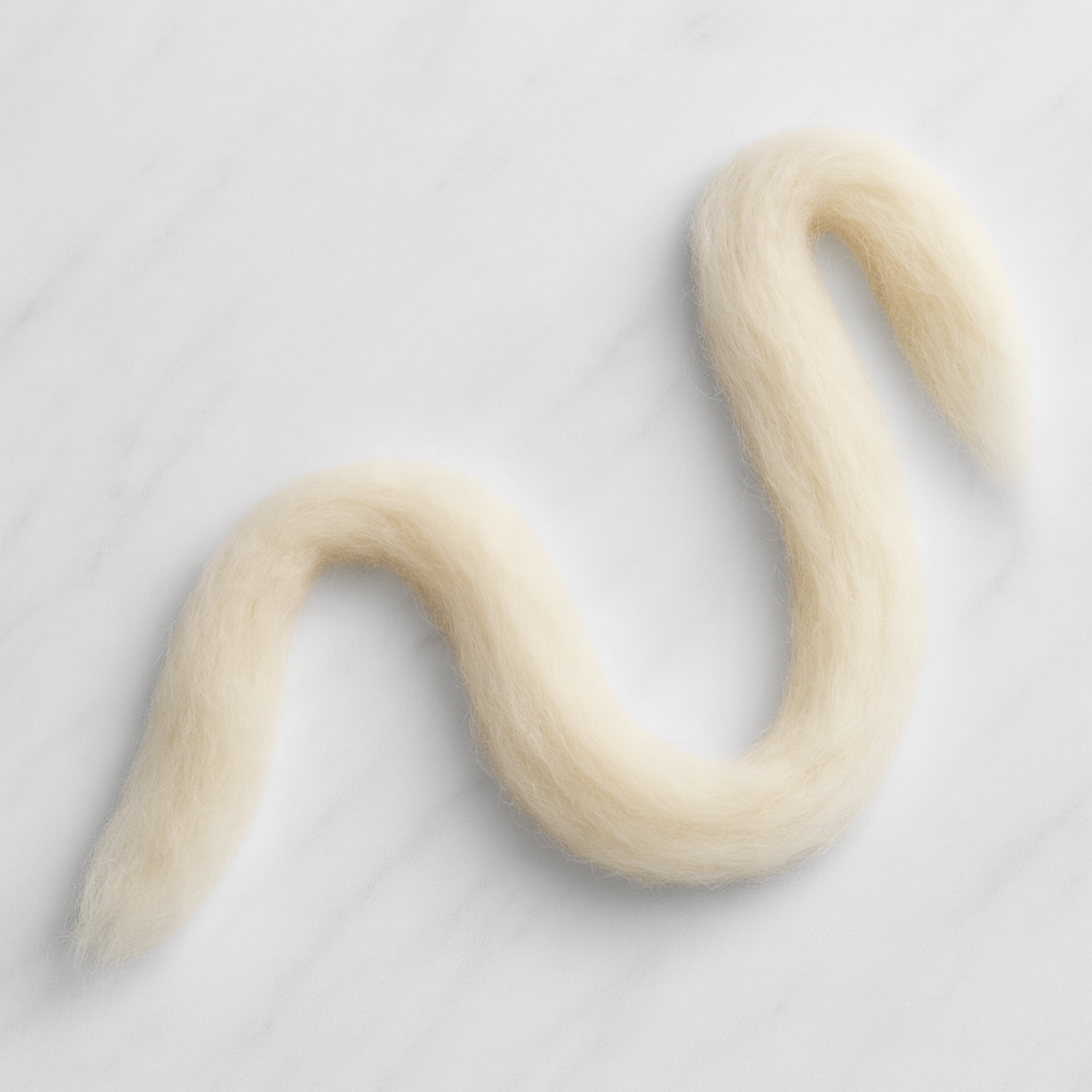 S-shaped length of Corriedale roving showing staple length and uniform preparation—natural cream, beginner-friendly drafting.