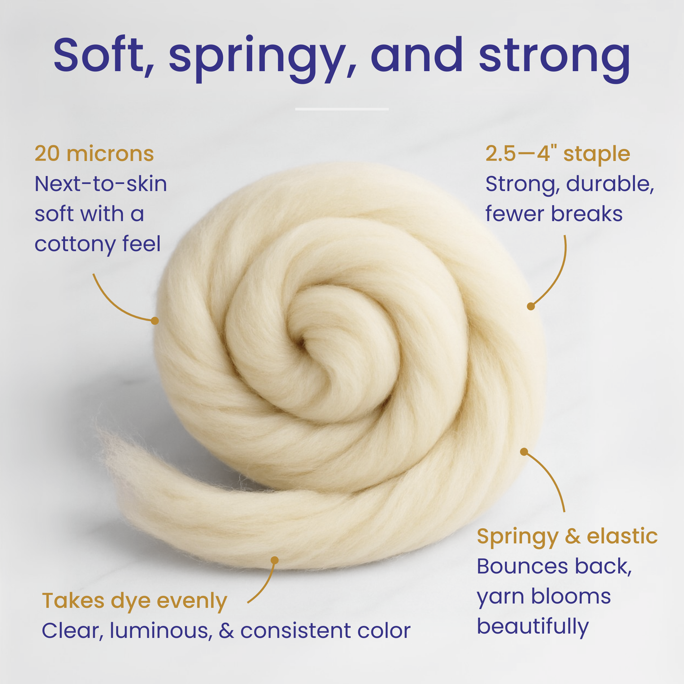Rambouillet combed wool top infographic highlighting soft hand, springy crimp, and excellent dye absorption.