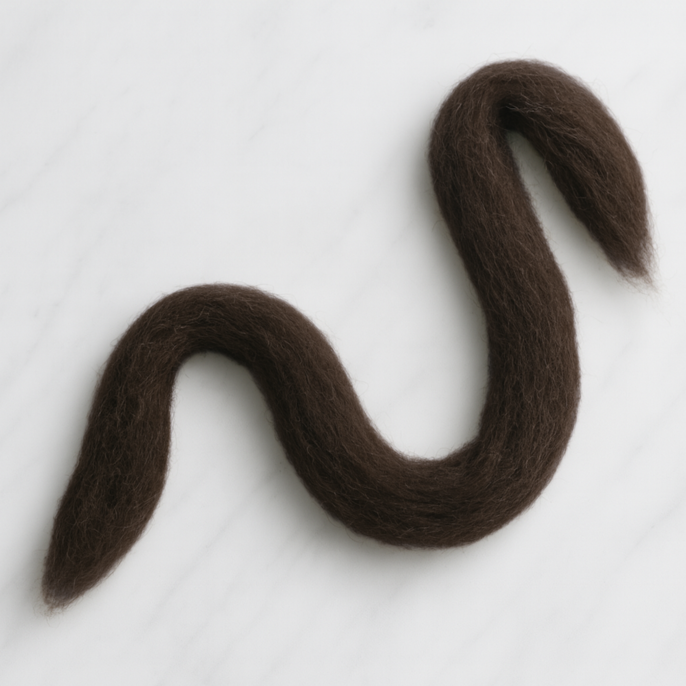 S-shaped length of Corriedale roving showing staple length and consistent prep—easy-drafting natural brown wool top.