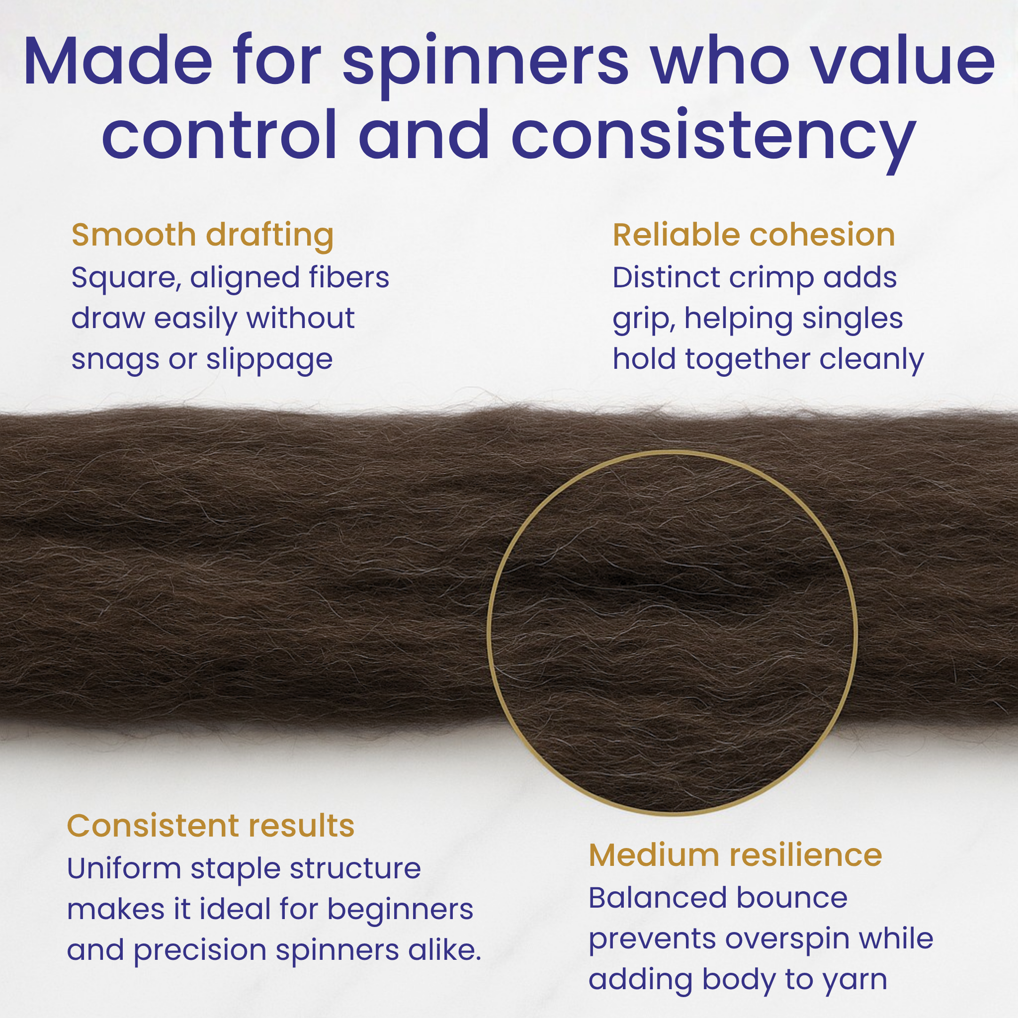 Infographic for spinners—smooth drafting, consistent micron, and controllable preparation of Corriedale combed top.