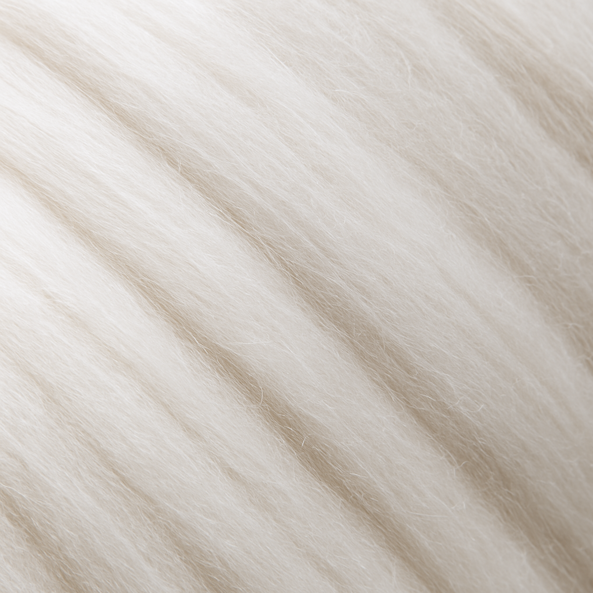 Close-up of Merino combed top texture—aligned fibers and fine crimp for controlled drafting and even yarn.