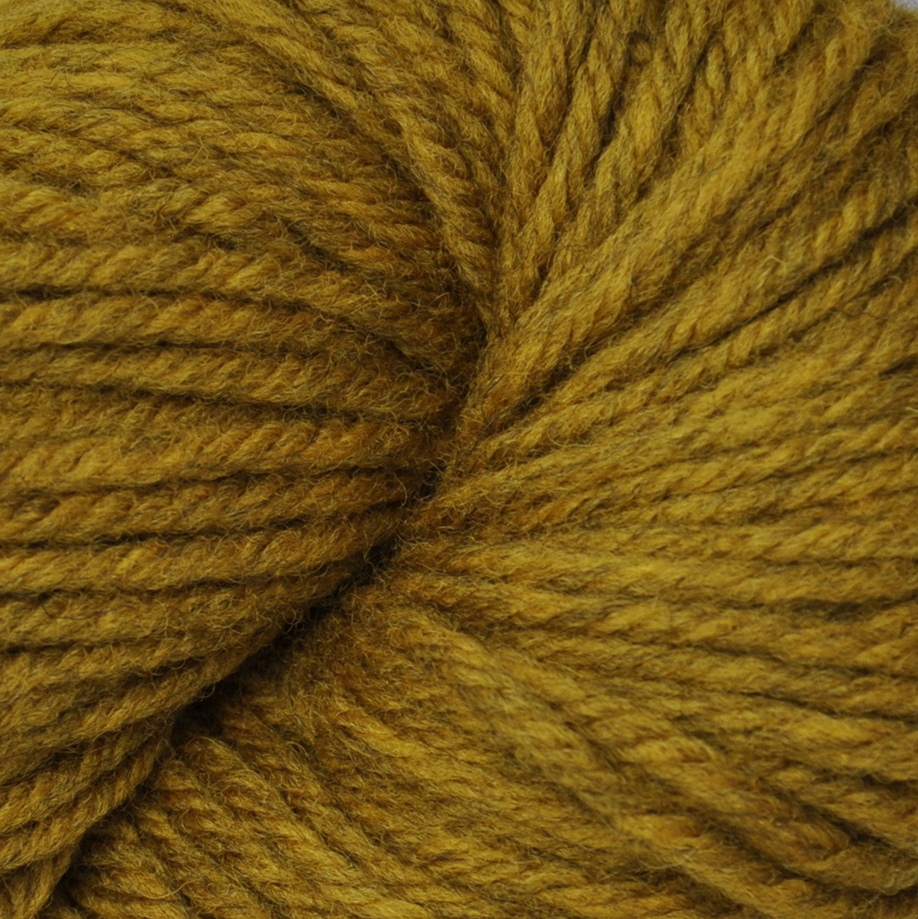 Harborside Aran - Golden Seahorse - HA48R