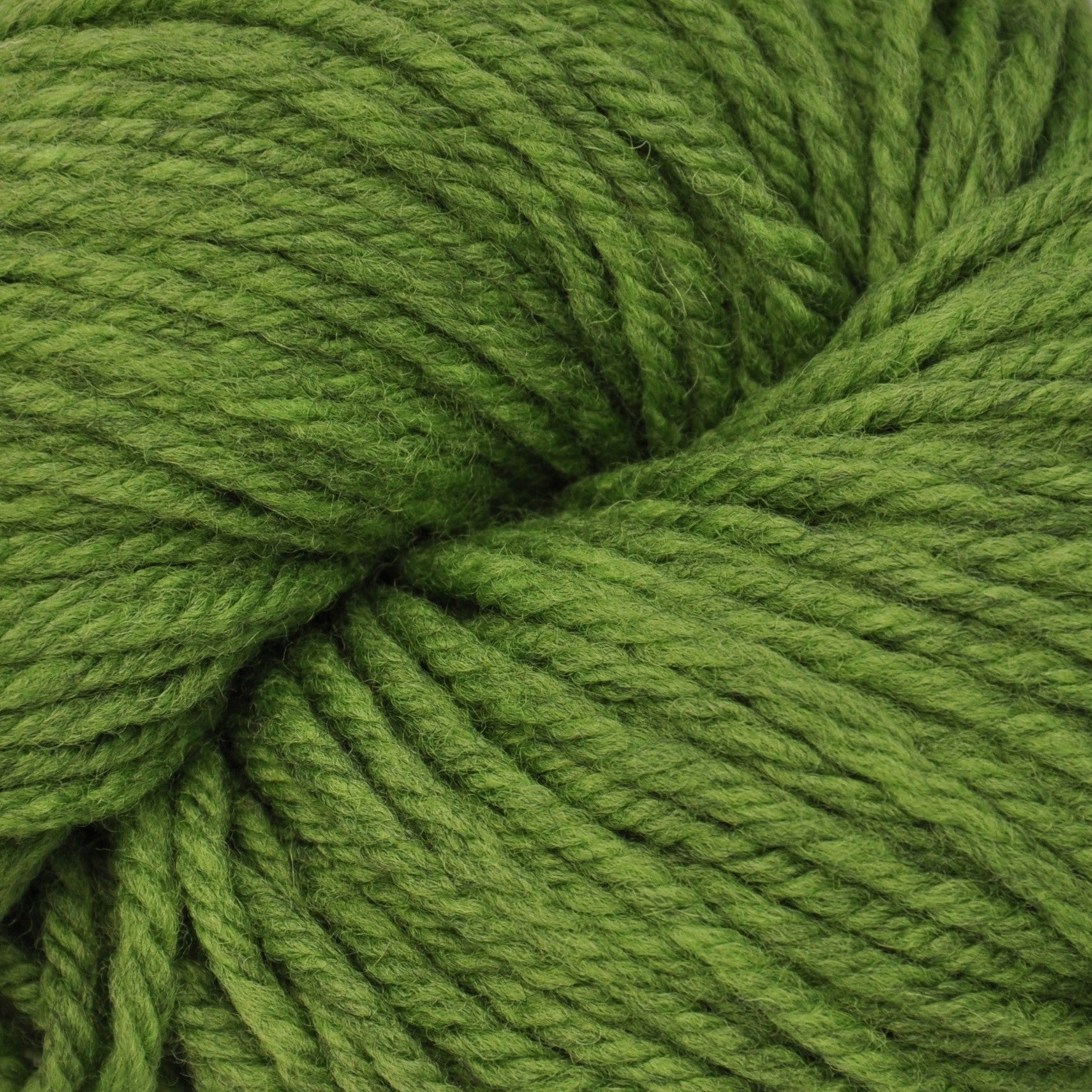 Harborside Aran - Sea Monster Green - HA44R