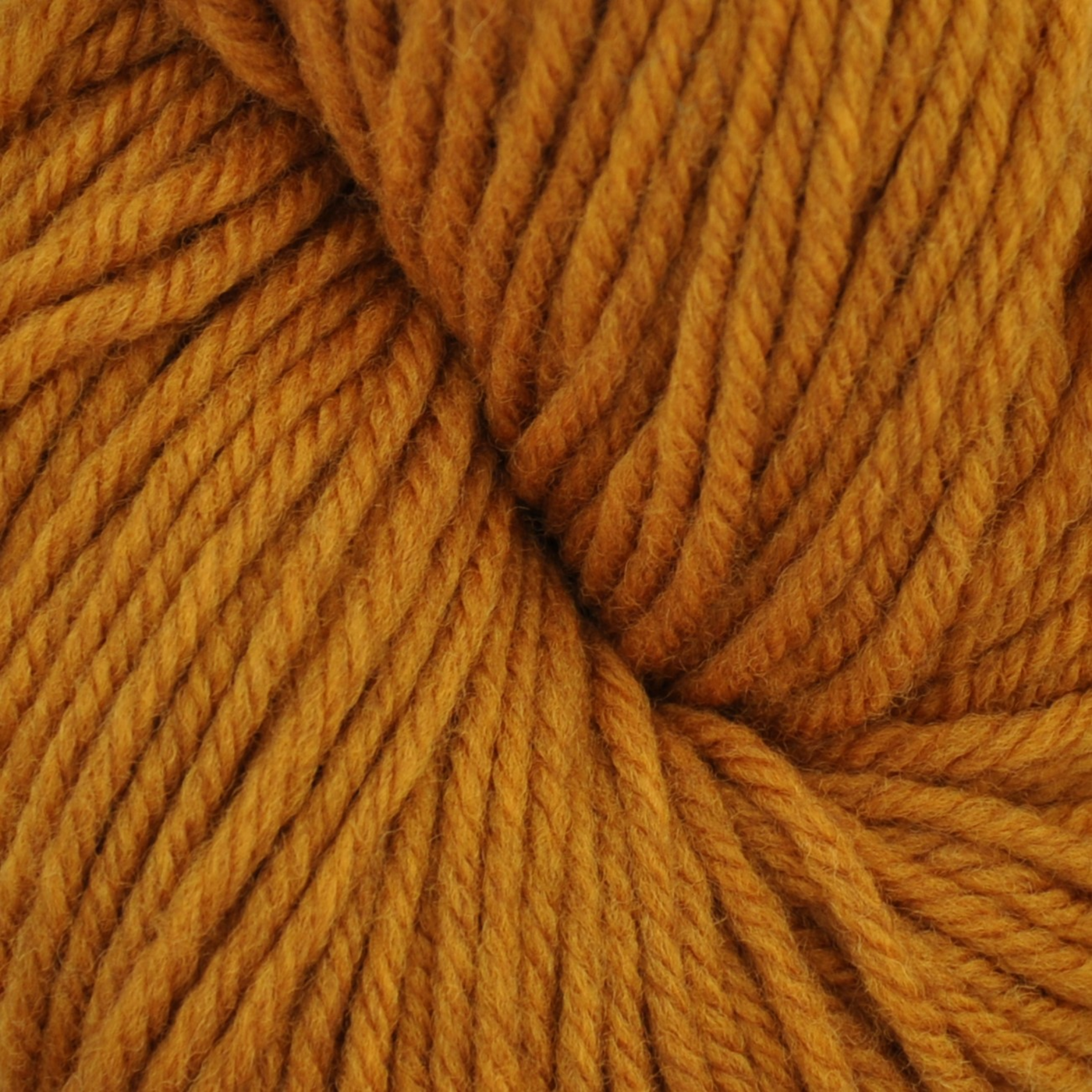 Brown Sheep Harborside Aran wool yarn skein, Amber golden ochre tone — 162 yds at Revolution Fibers