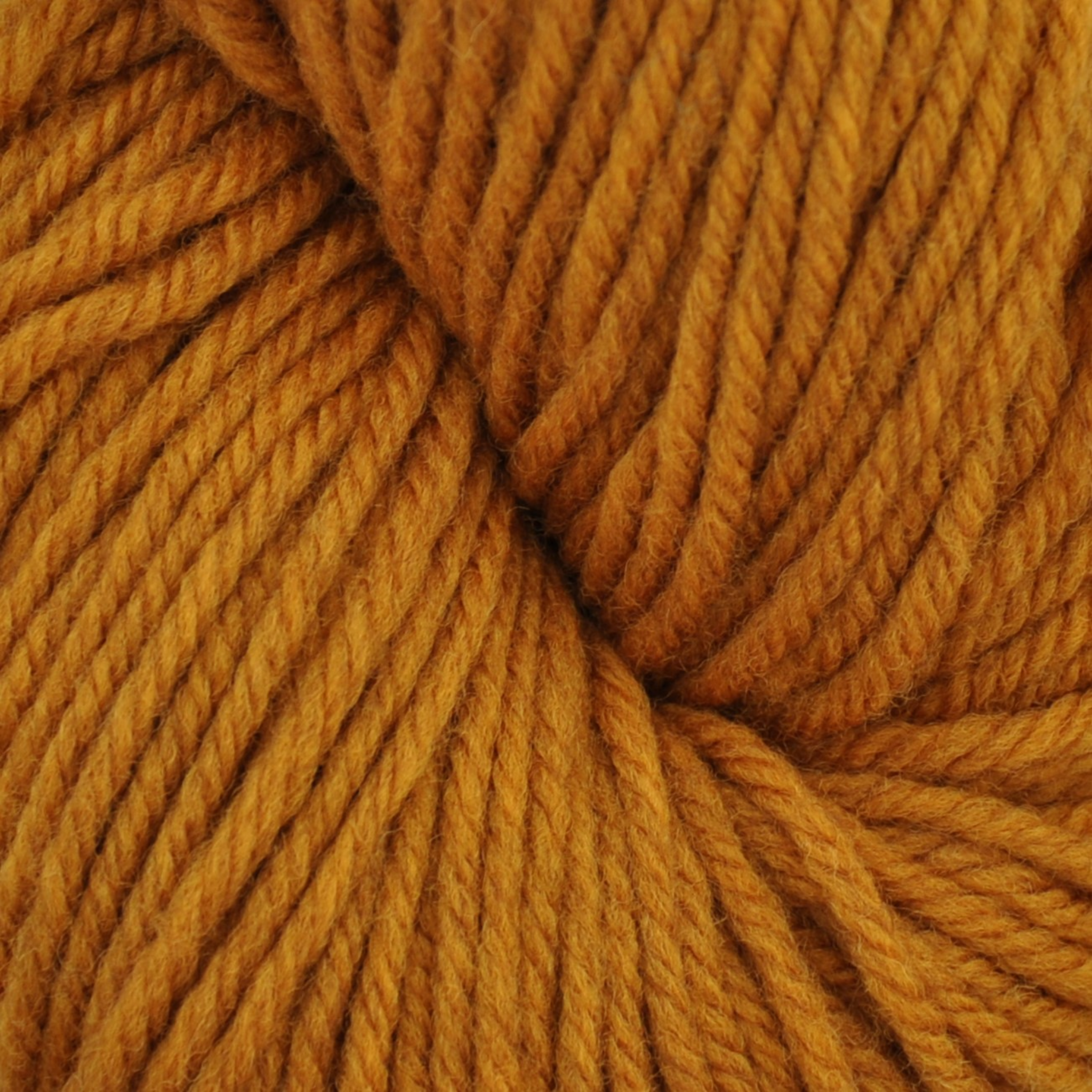 Brown Sheep Harborside Aran wool yarn skein, Amber golden ochre tone — 162 yds at Revolution Fibers