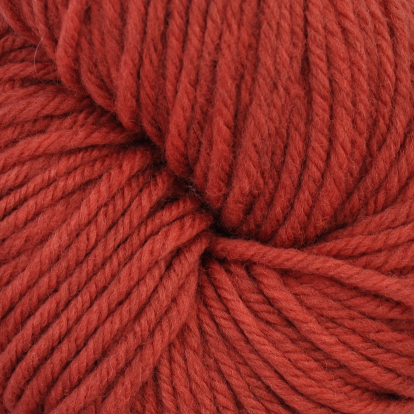 Brown Sheep Harborside Aran wool yarn skein, Salmon vibrant coral-red — 162 yds at Revolution Fibers