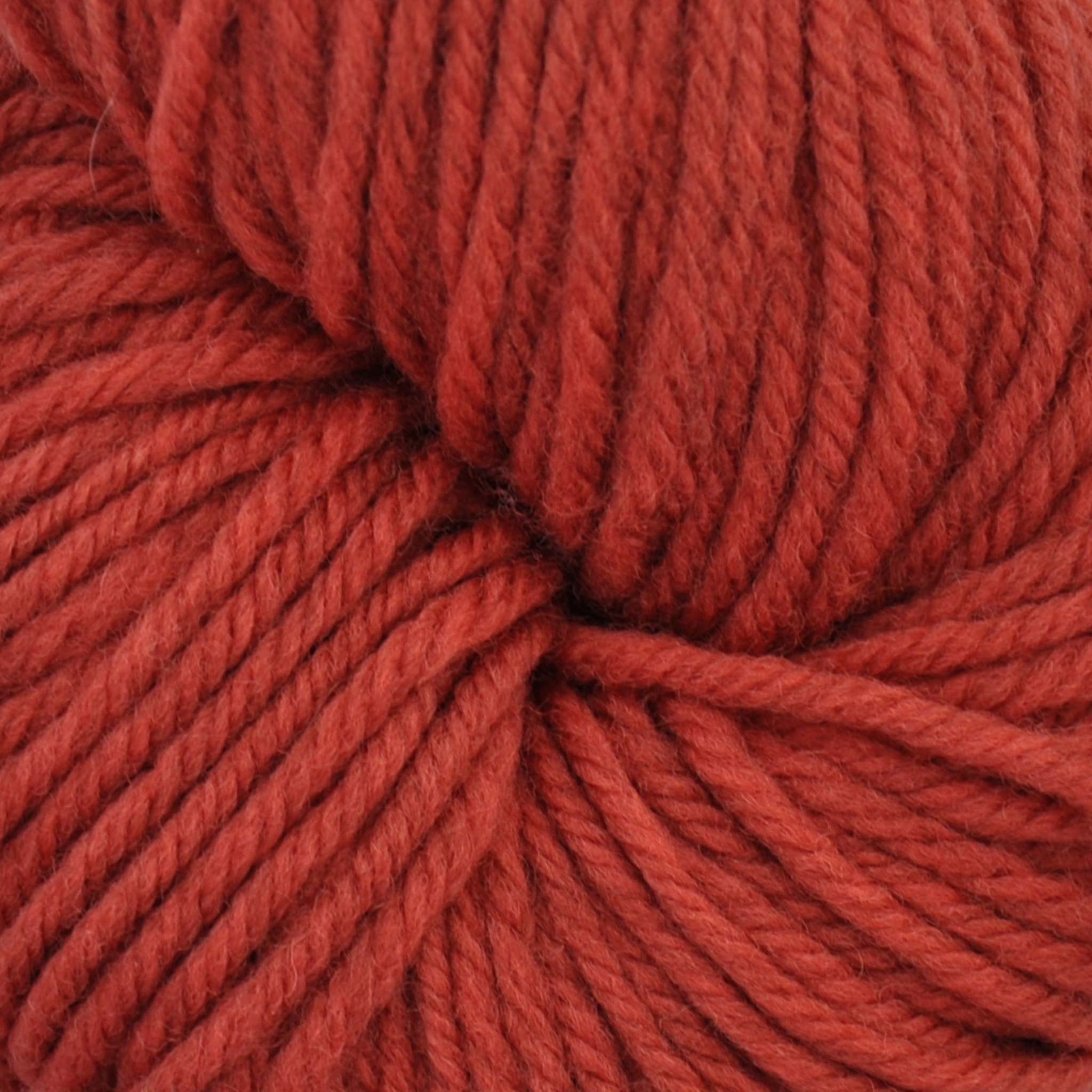 Brown Sheep Harborside Aran wool yarn skein, Salmon vibrant coral-red — 162 yds at Revolution Fibers