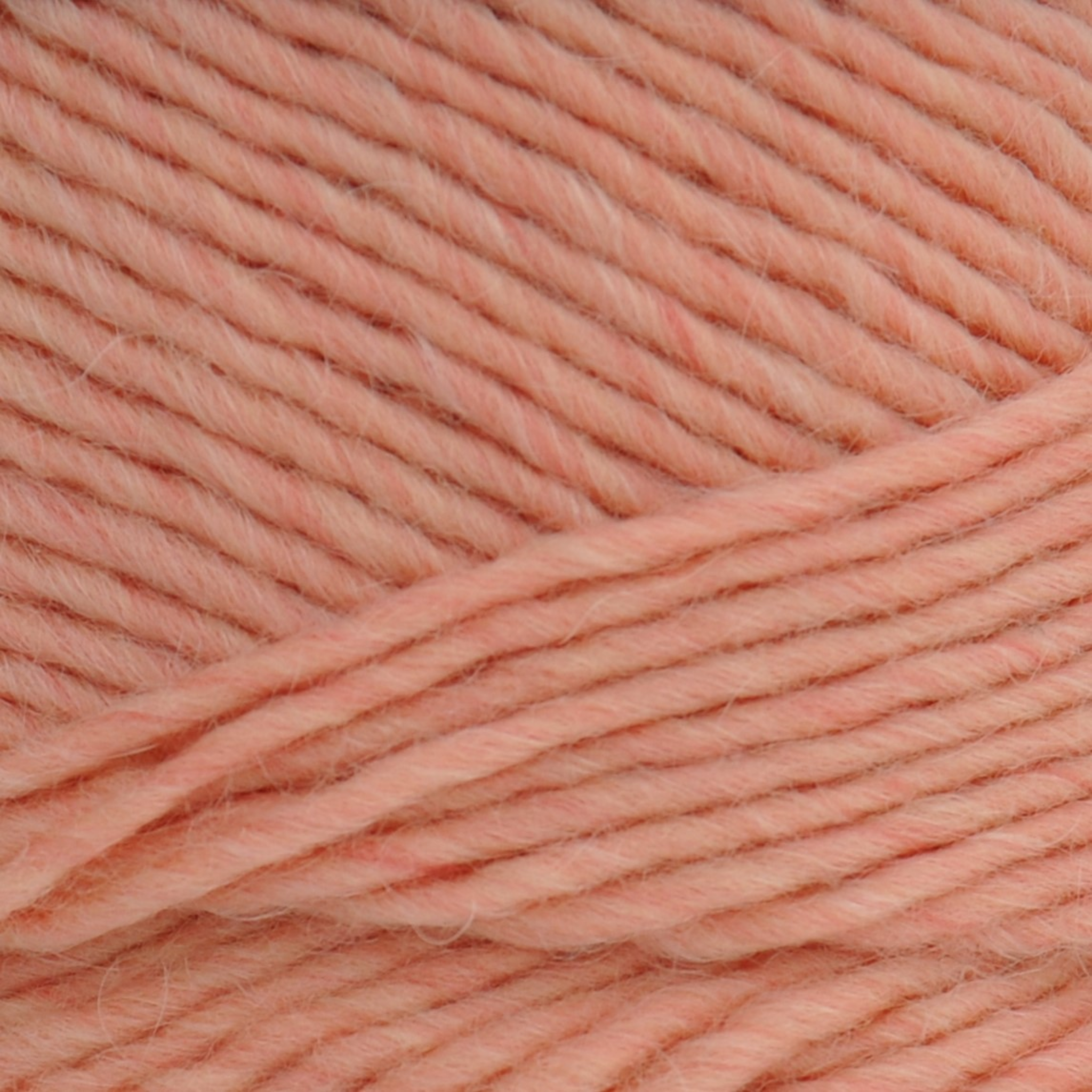 Brown Sheep Lamb’s Pride Bulky yarn skein, Guava peach colorway, at Revolution Fibers