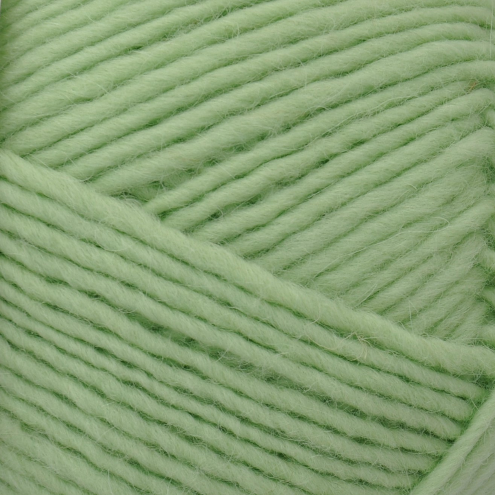 Brown Sheep Lanaloft Bulky wool yarn skein, Spearmint mint green — 160 yds at Revolution Fibers