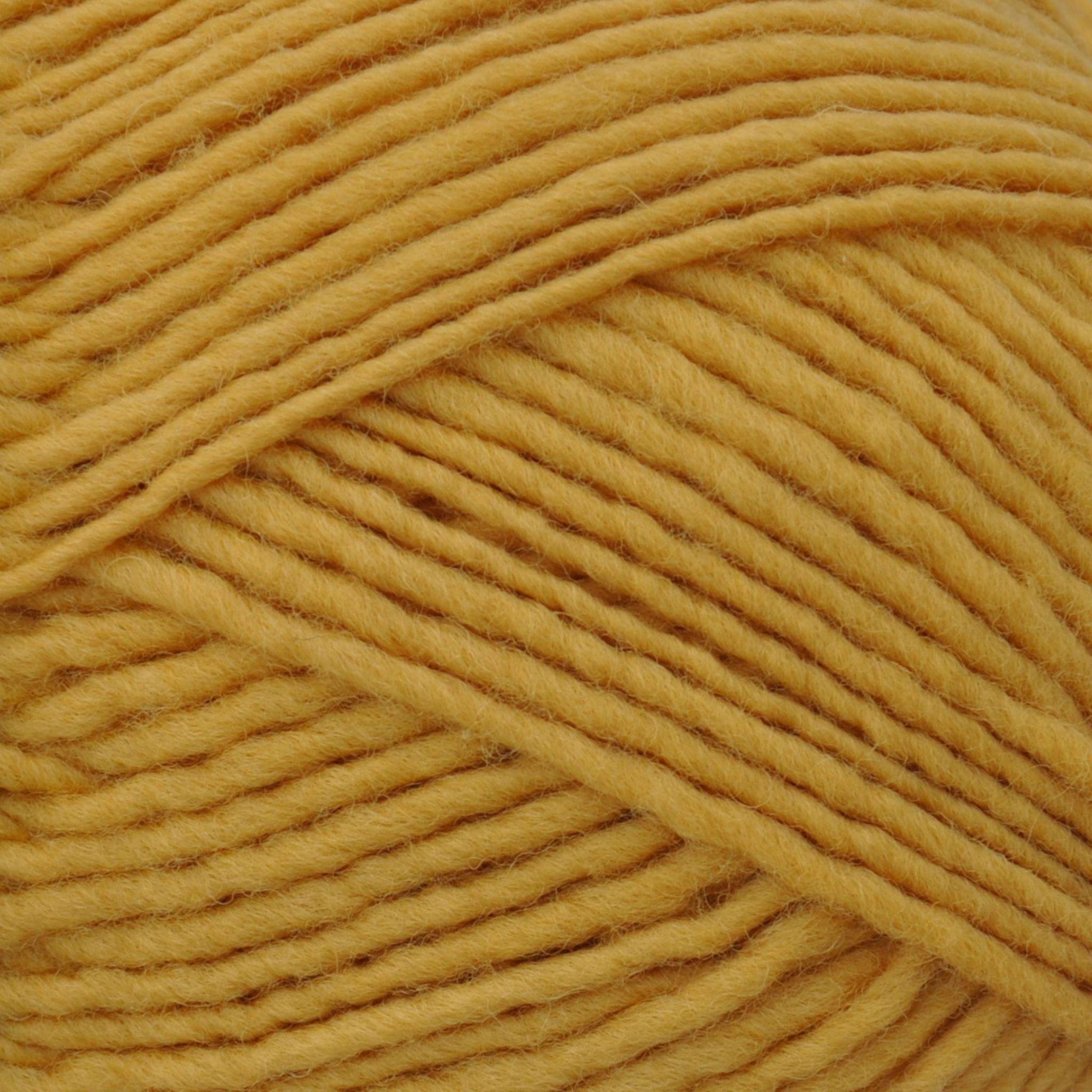 Brown Sheep Lanaloft Worsted wool yarn close-up, Golden Meadowlark mustard yellow — at Revolution Fibers