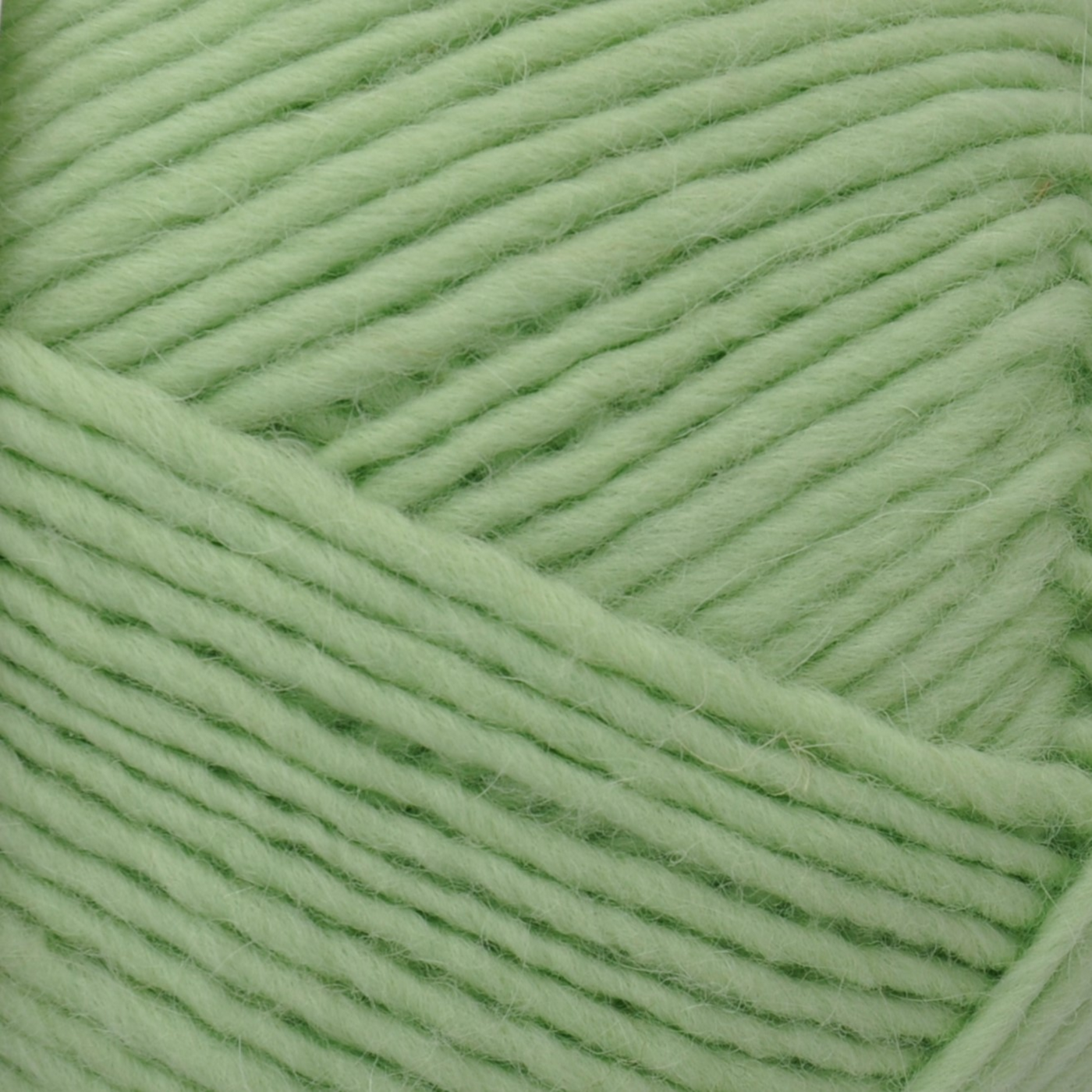Brown Sheep Lanaloft Worsted wool yarn close-up, Spearmint soft mint green — at Revolution Fibers