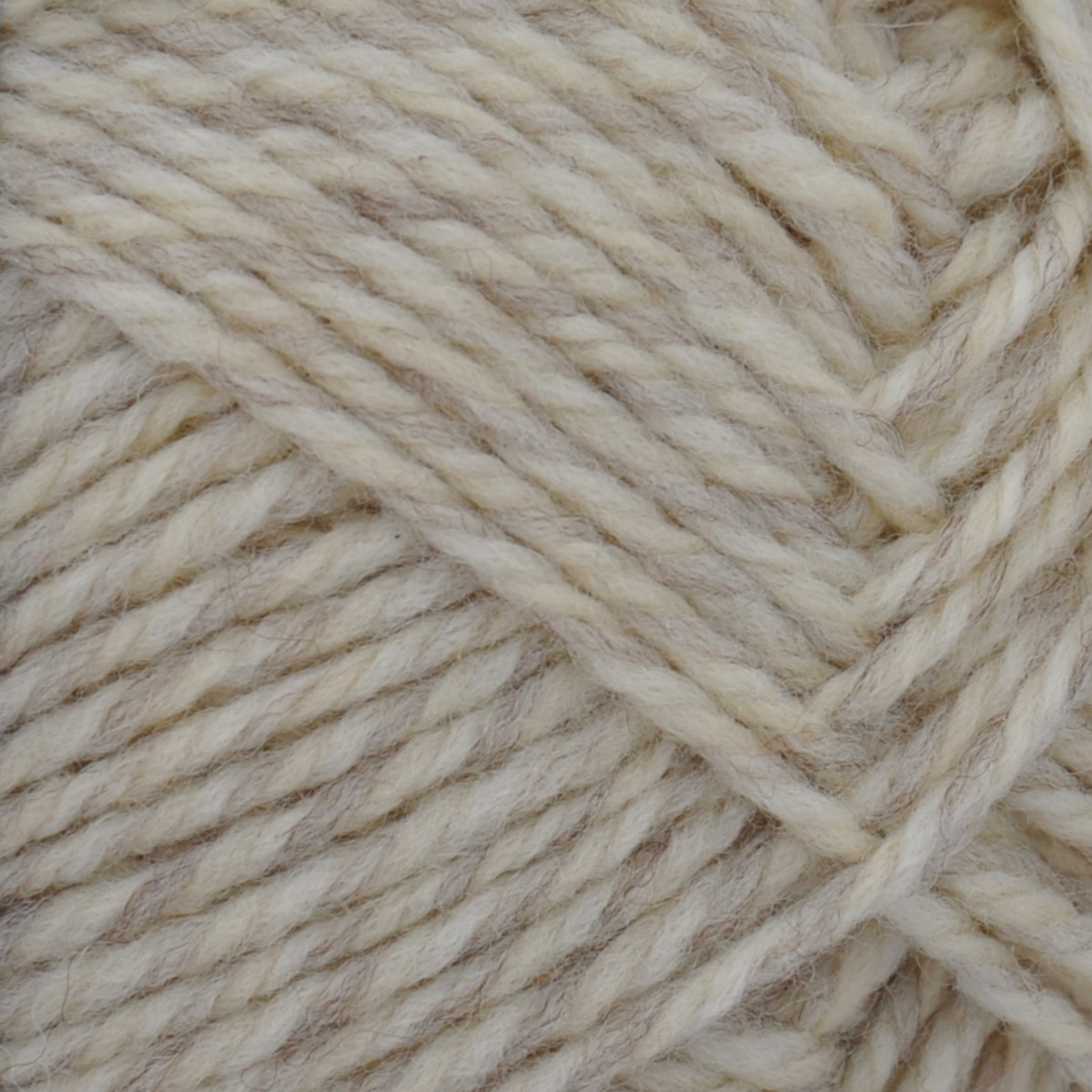 Brown Sheep Nature Spun Fingering wool yarn skein, Antique Ivory creamy heather — 310 yds at Revolution Fibers