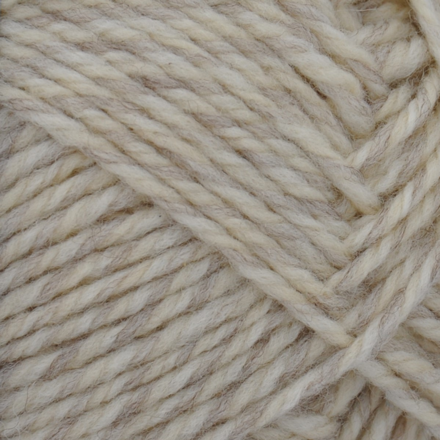 Brown Sheep Nature Spun Worsted wool yarn skein, Antique Ivory creamy heather — 245 yds at Revolution Fibers