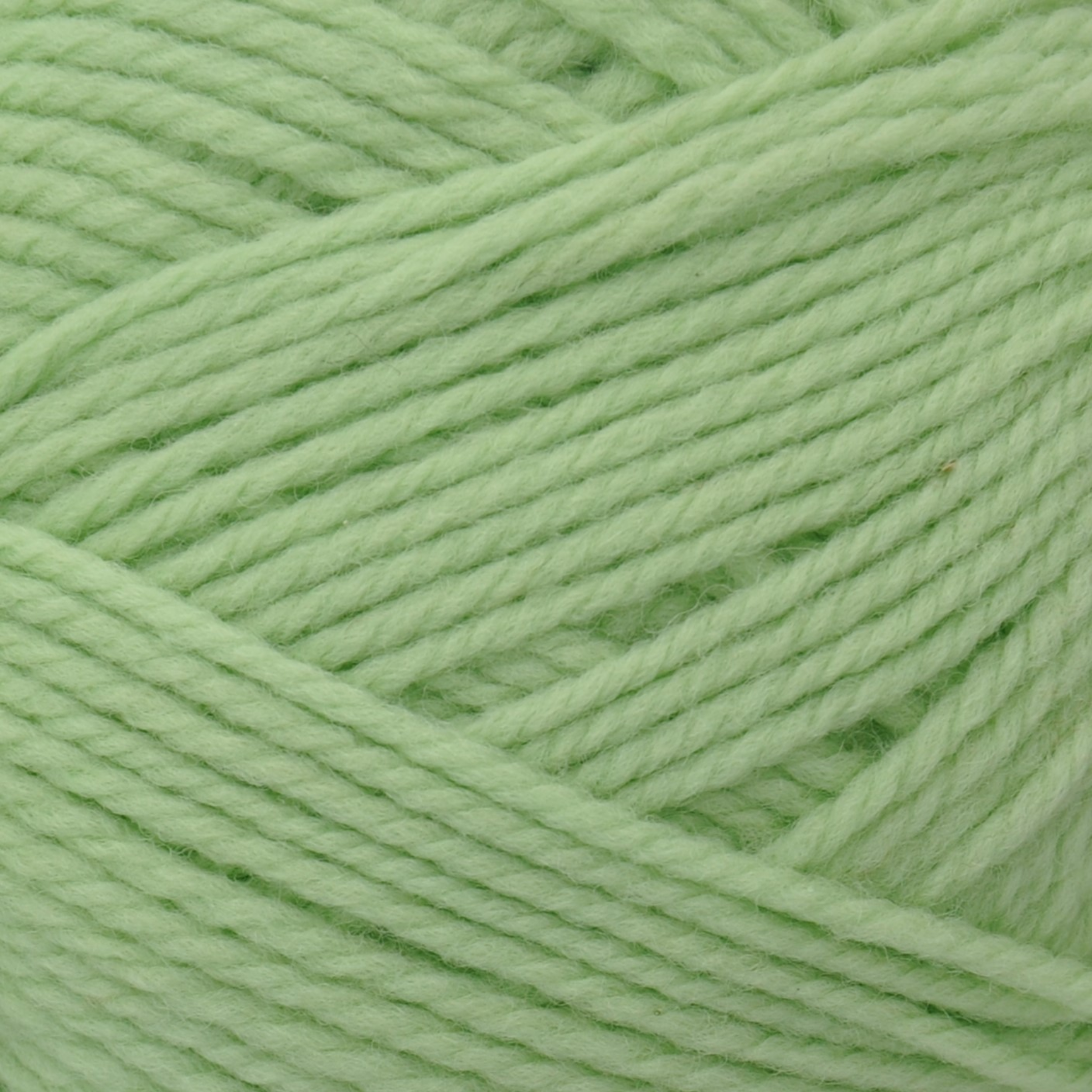 Brown Sheep Nature Spun Worsted wool yarn skein, Honeydew soft pastel green — 245 yds at Revolution Fibers