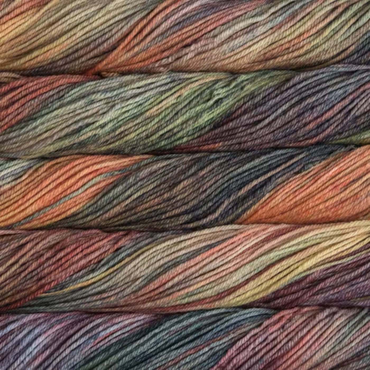 Malabrigo Rios hand-dyed worsted yarn in Primavera RIO859, blending olive, sage, rust, brown, and muted gold.