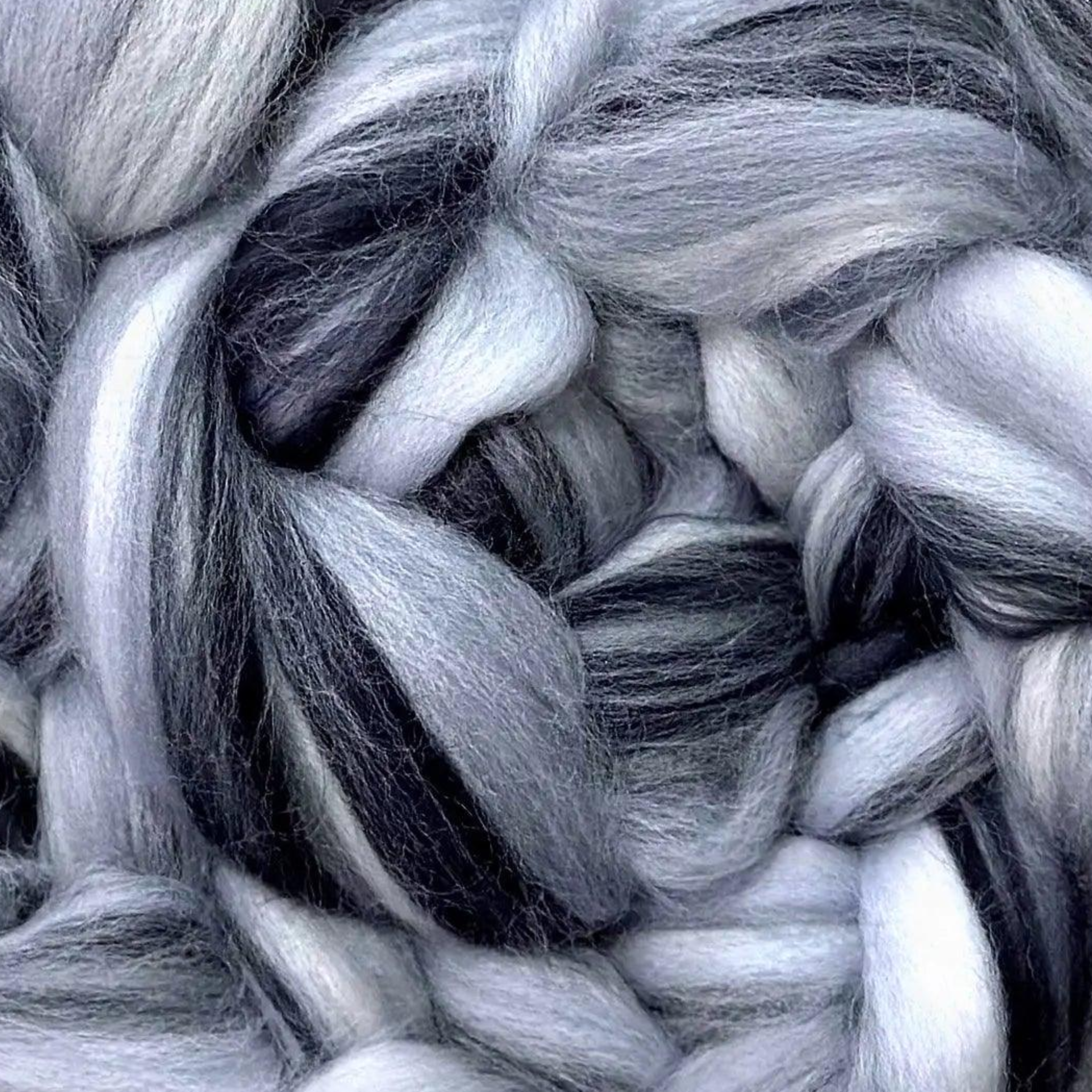 “Tempest” Luminoso merino roving—silver-charcoal gradient fiber for sophisticated spinning projects