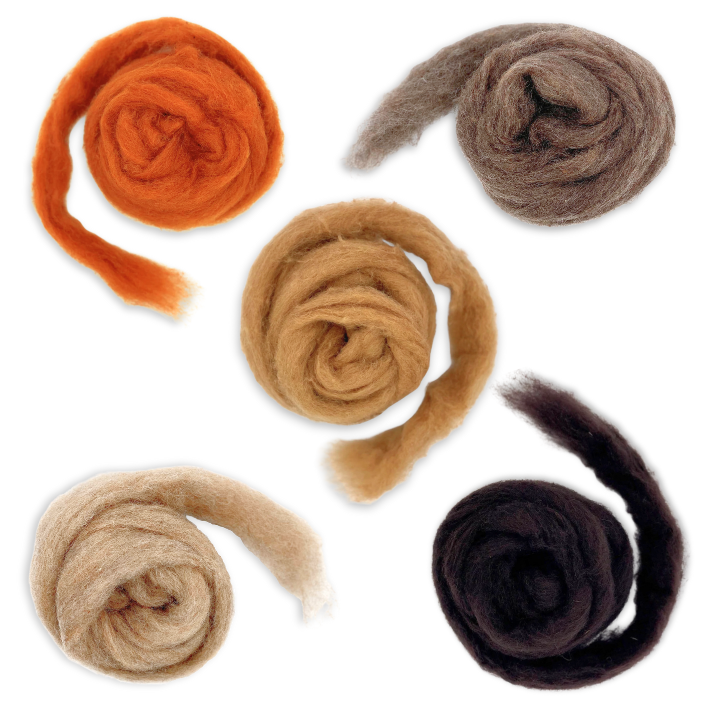 Unrolled view of Revolution Fibers Autumn Harvest Corriedale Wool Sliver pack—five earthy colors displayed for fall-inspired fiber art and felting.