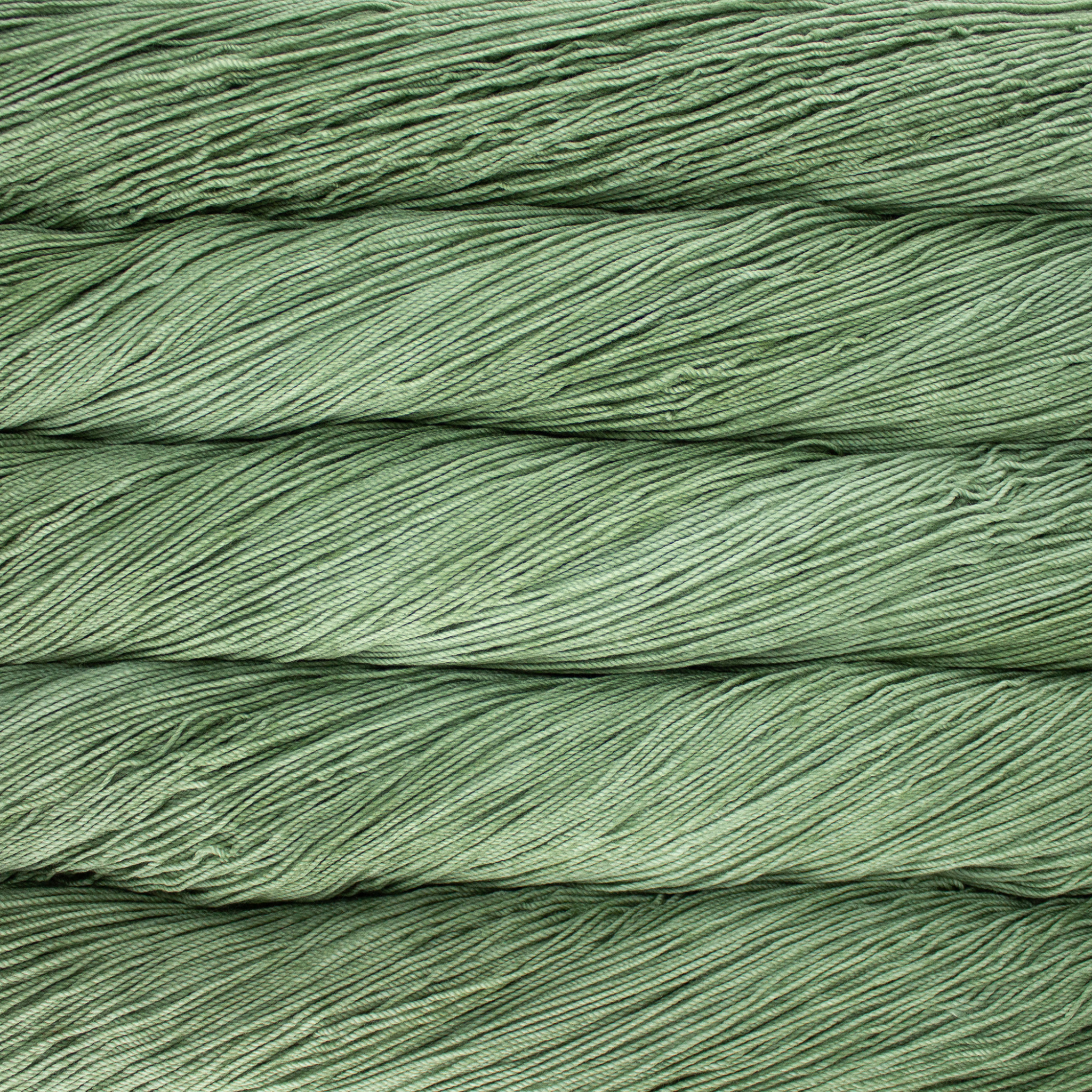 Revolution Fibers Malabrigo Sock Yarn in Jasmin (SW347) – Sage green fingering superwash Merino wool.