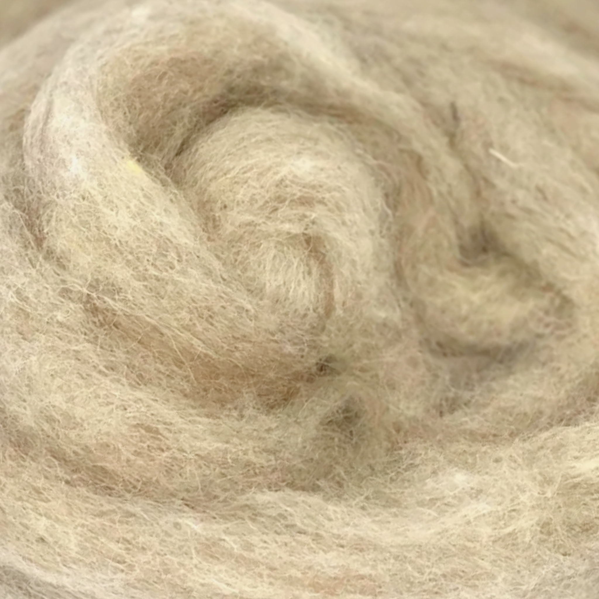Fawn colorway carded Corriedale wool sliver, perfect for felting, spinning, and weaving, included in the Woodland Neutrals Variety Pack.
