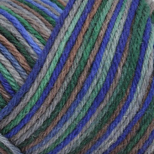 Wildfoote Luxury Sock Weight Superwash Yarn | 50 grams, 215 yards per skein-Yarn-Brown Sheep Yarn-Rocky Gorge (Handpainted)-Revolution Fibers