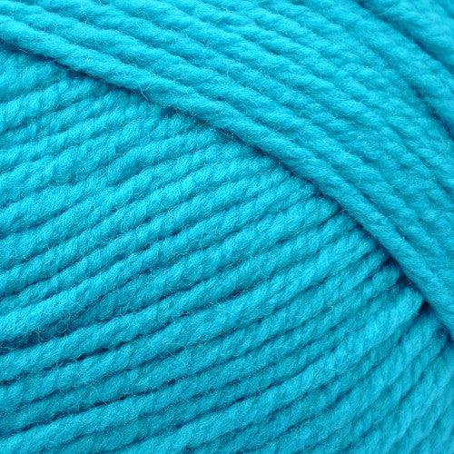 Shepherd's Shades Light Bulky (Aran) Weight Yarn | 131 Yards | 100% Wool-Yarn-Brown Sheep Yarn-Tropical Turquoise - SS792-Revolution Fibers