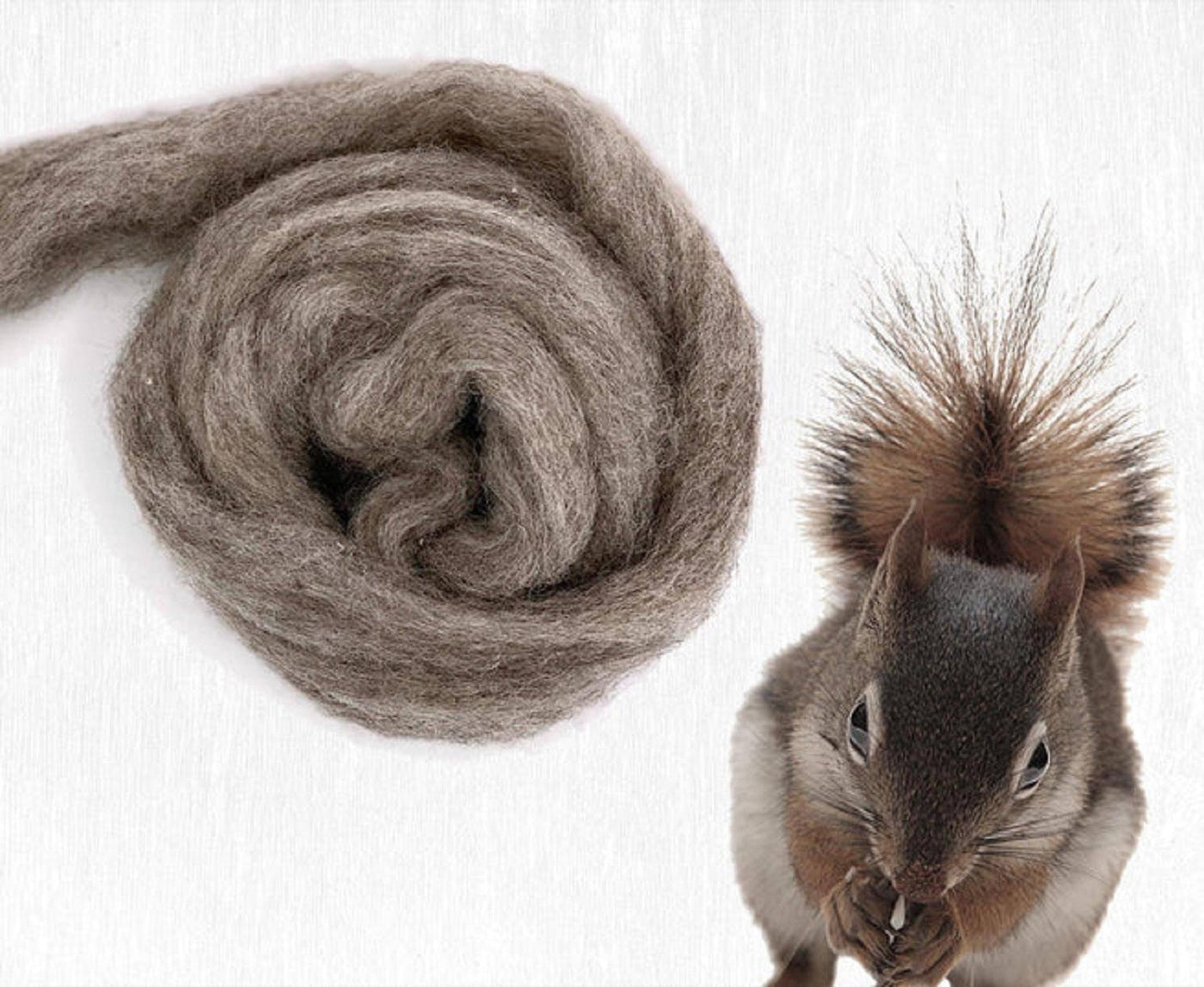 Carded Sliver Corriedale Wool - Furry Friends