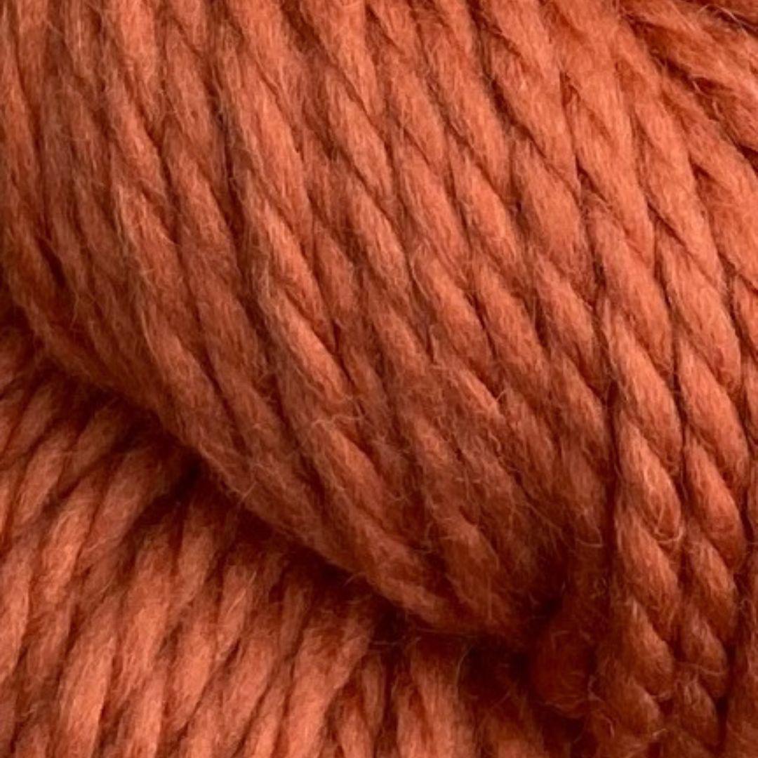 Jagger Yarn Berwick Bulky 1lb Cone - Spice