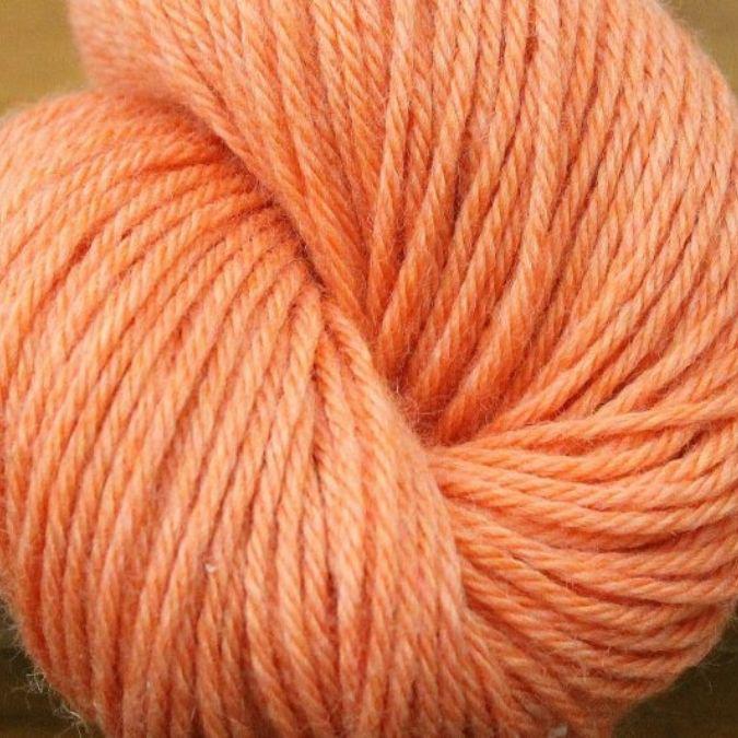 Mousam Falls 4-6 Worsted - Aran 1 lb Cone - Persimmon