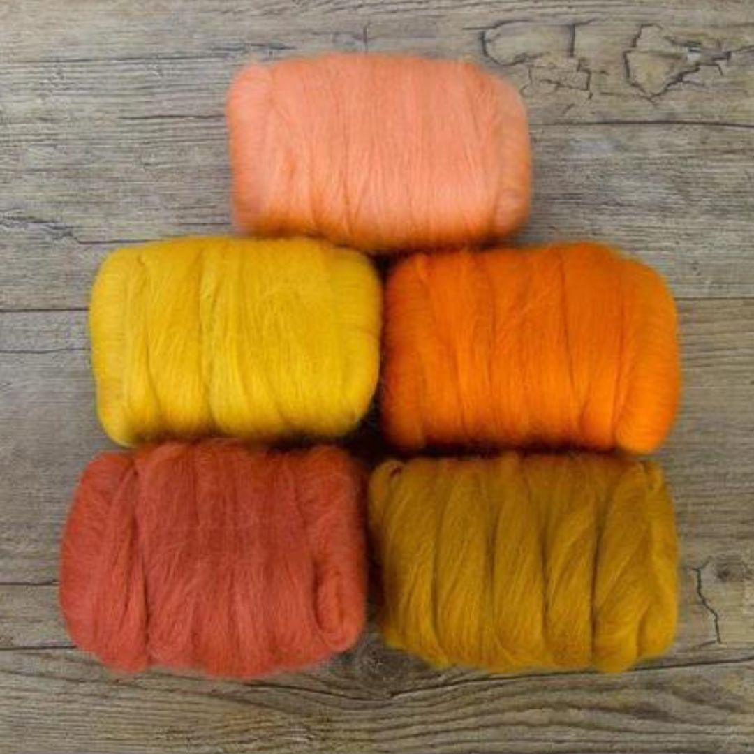 Mixed Merino Wool Variety Pack | Pumpkin Patch (Orange) 250 Grams, 23 Micron-Wool Roving-Revolution Fibers-Revolution Fibers