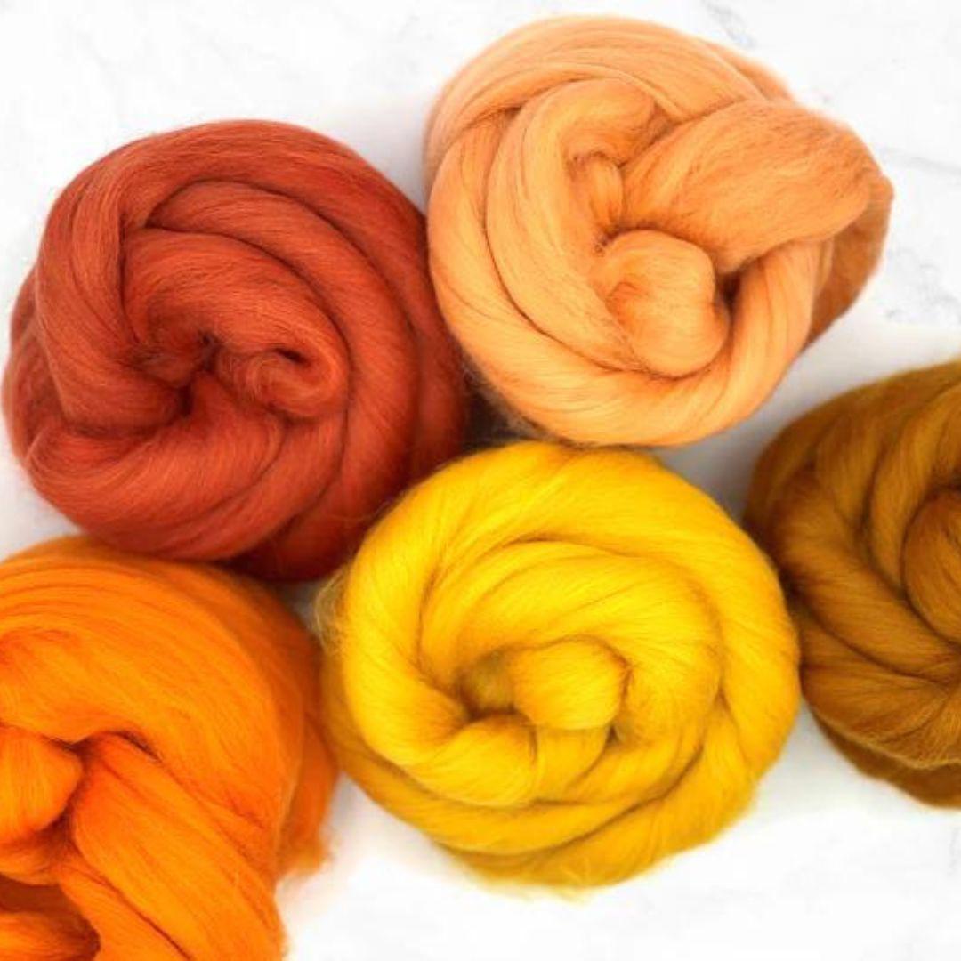 Mixed Merino Wool Variety Pack | Pumpkin Patch (Orange) 250 Grams, 23 Micron-Wool Roving-Revolution Fibers-Revolution Fibers